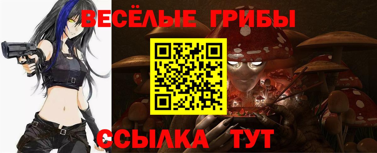 Псилоцибиновые грибы прущие грибы  Вход с VPN  Елизово 
